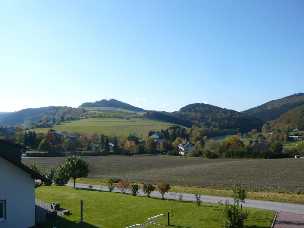 Haus Talblick Villa Willingen  Dış mekan fotoğraf
