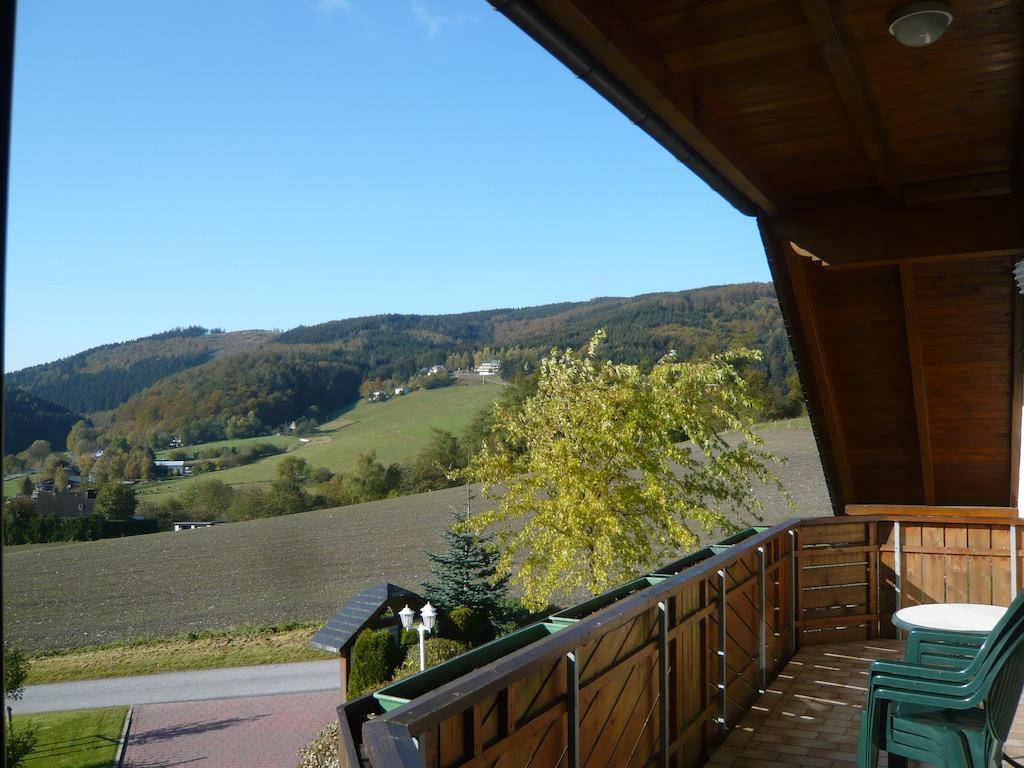 Haus Talblick Villa Willingen  Dış mekan fotoğraf
