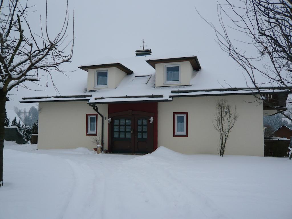 Haus Talblick Villa Willingen  Dış mekan fotoğraf